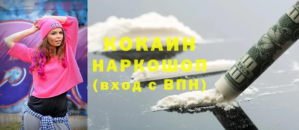 индика Белокуриха