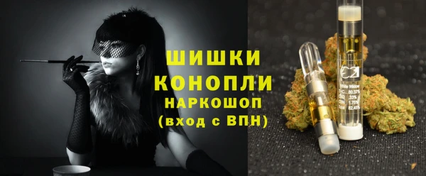 индика Белокуриха