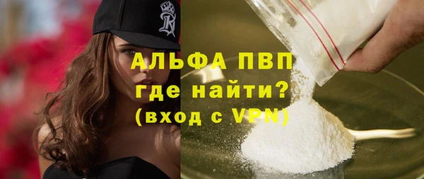 индика Белокуриха