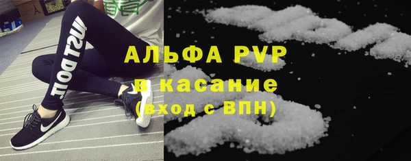 индика Белокуриха