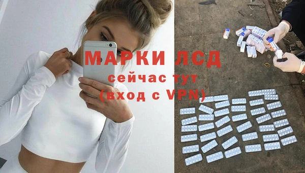 индика Белокуриха