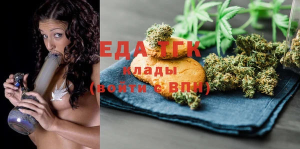 индика Белокуриха