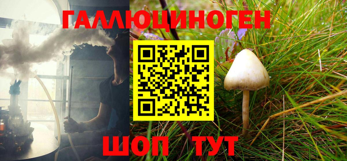 Гай  наркошоп  Вход с VPN  Псилоцибиновые грибы Magic Shrooms 