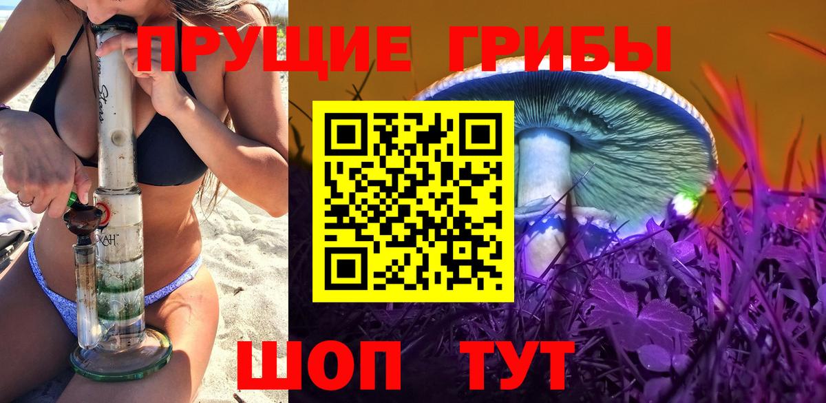 Галлюциногенные грибы Psilocybe Гай